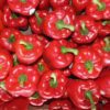 red bell peppers
