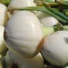 sweet onions