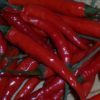 thai chilli