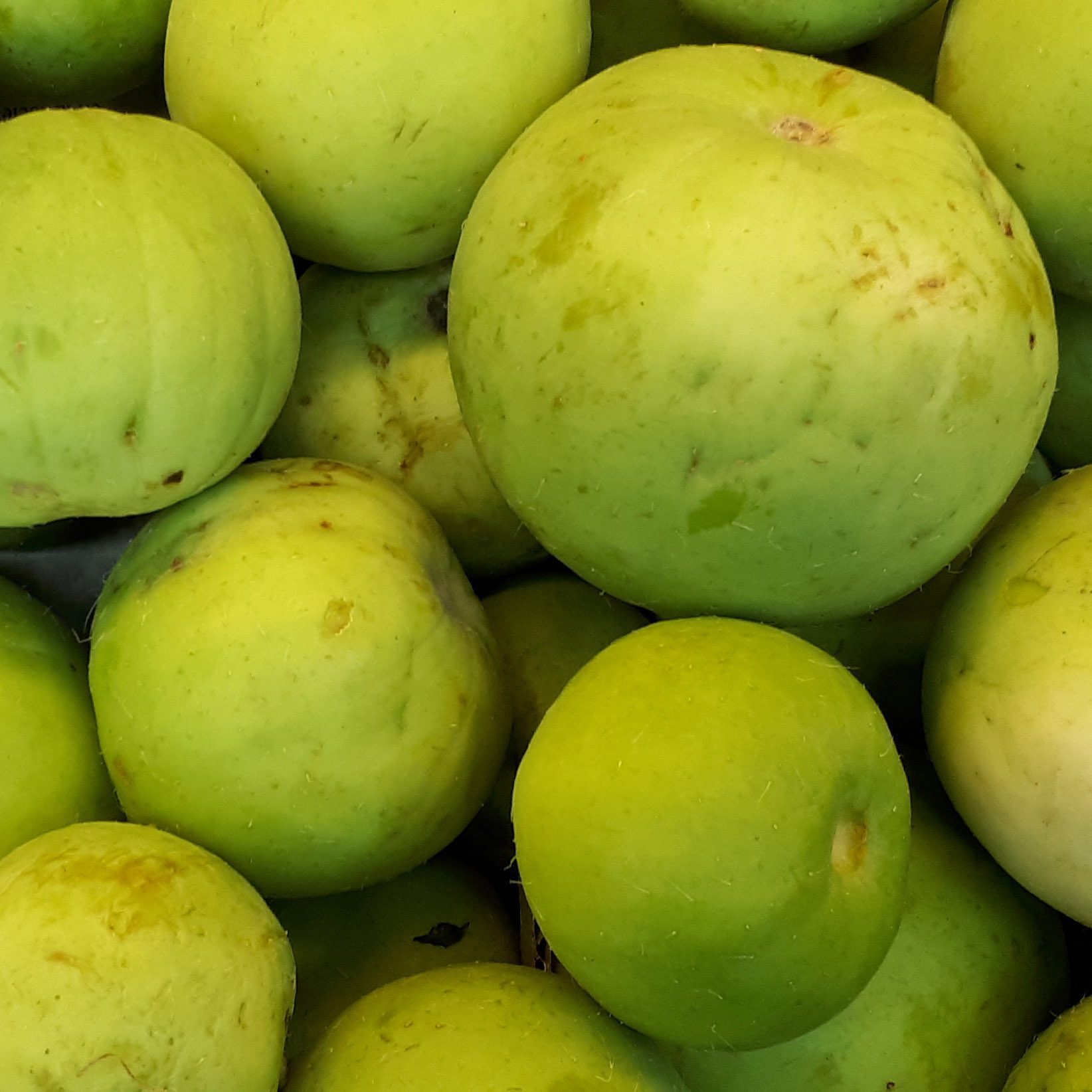 tinda