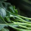 what are collard greens