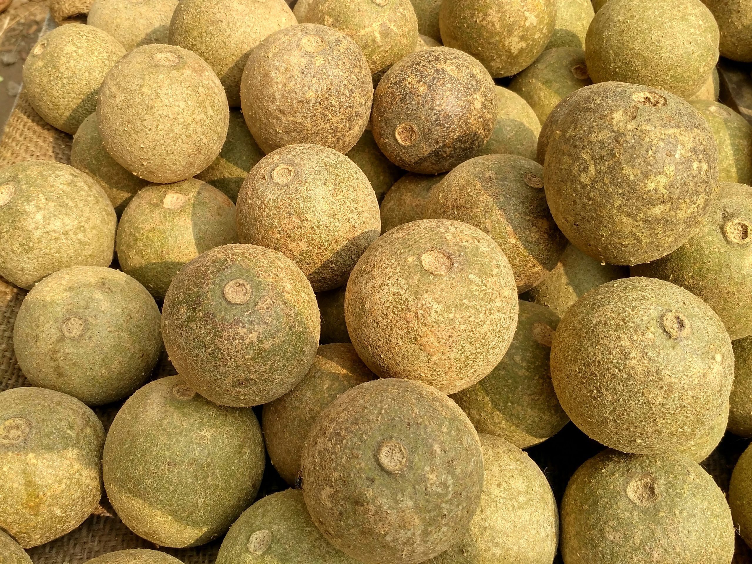 wood apple