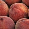 peaches fruit