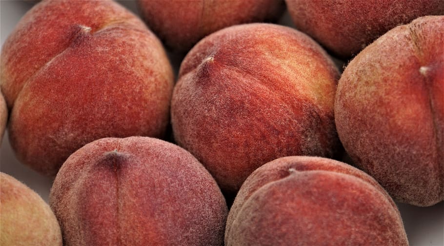 peaches fruit