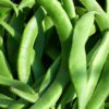What are Beans
