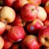 apple envy