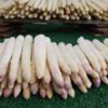 asparagus white