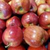 canadian apples