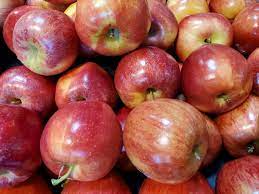 canadian apples