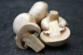 champignon mushroom