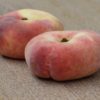 donut peach
