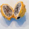 dragon fruit yellow