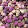kola nuts