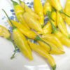lemon pepper