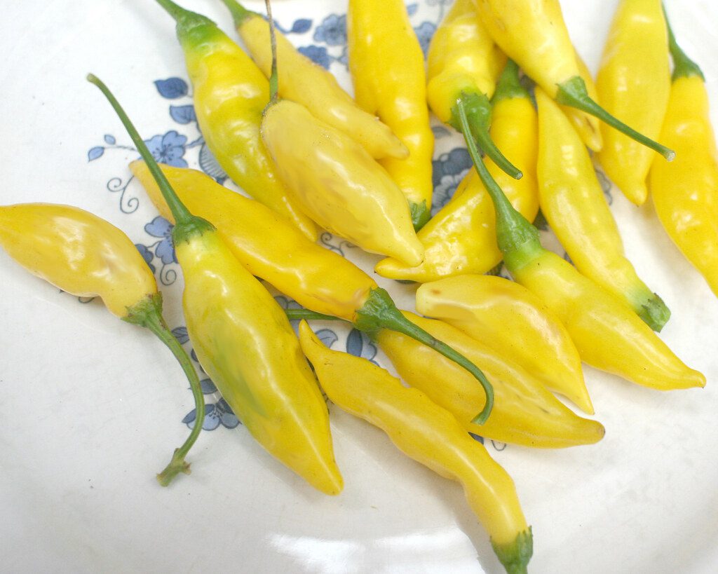 lemon pepper
