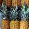 pineapple fruit