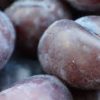 plumcot fruit