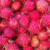 rambutan fruits