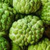 sugar apple