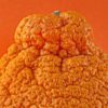 sumo mandarins