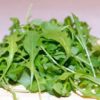 what is arugula