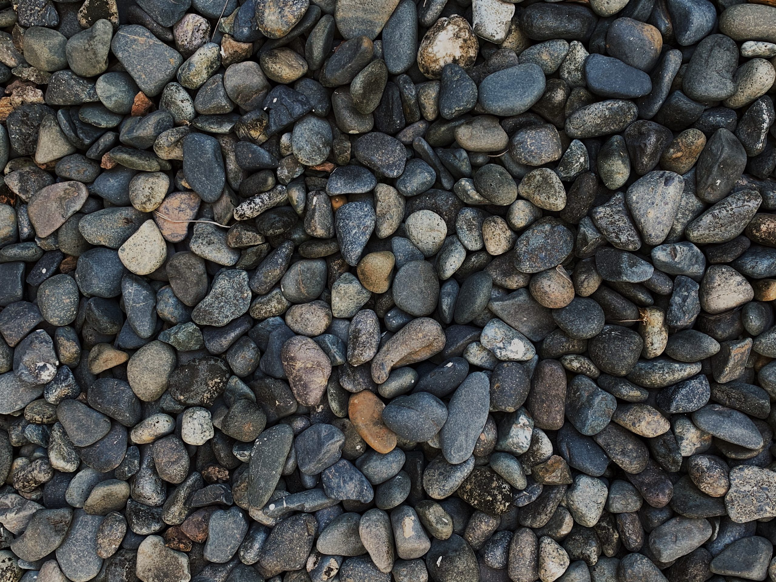What is pea gravel