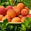 are peaches good for you