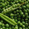 are peas a fruit