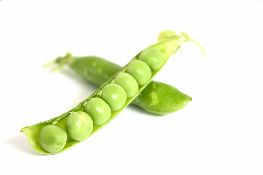 are peas good for dogs