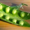 can dog eat peas