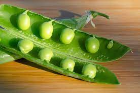 can dog eat peas