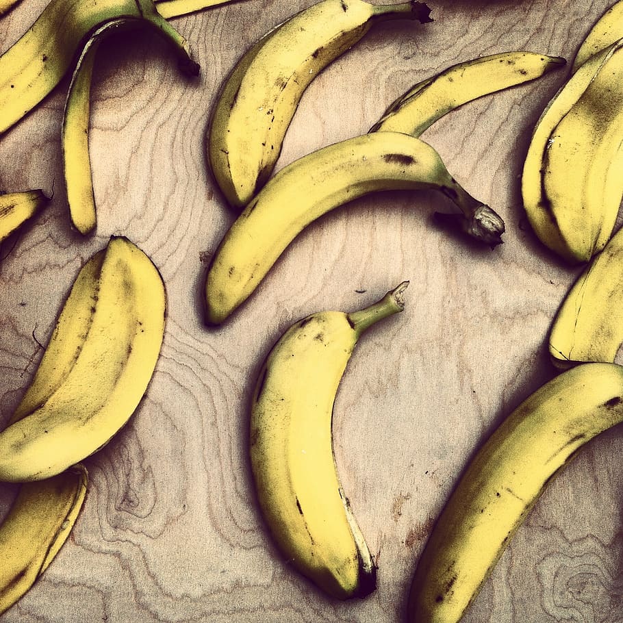 can dogs eat banana skin