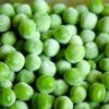 can dogs eat peas