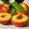 can dogs have peaches