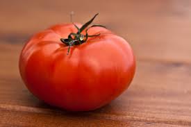 can dogs have tomatoes