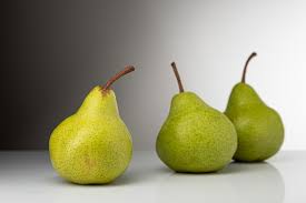 can rabbits eat pear