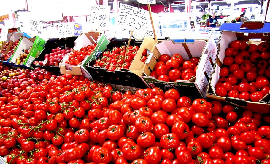 how are tomatoes stored