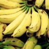 how many calories in a banana