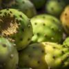 how to eat prickly pear