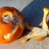 how to peel an orange