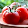 is a tomato a fruit or vegetable