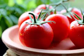 is a tomato a fruit or vegetable