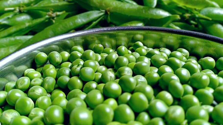 is pea protein good for you