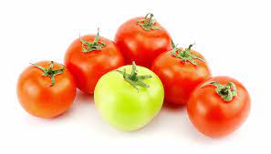 Tomato a Fruit or Vegetable
