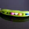 why do peas not digest