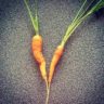 are carrots keto