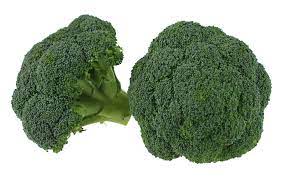 can dogs have broccoli
