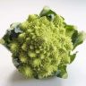 can you eat broccoli flowers