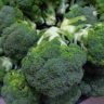 can you eat broccoli stalks