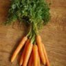 how long does it take for carrots to grow